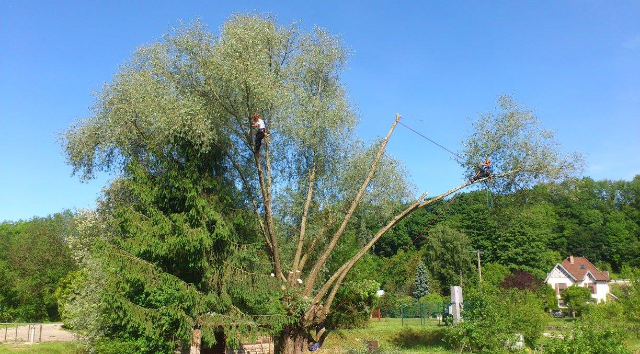 pose de micro-enregistreurs pour chauve-souris à Grandfontaine-sur-Creuse