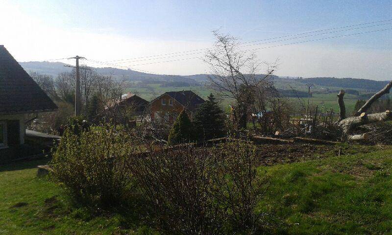 entretien de jardin